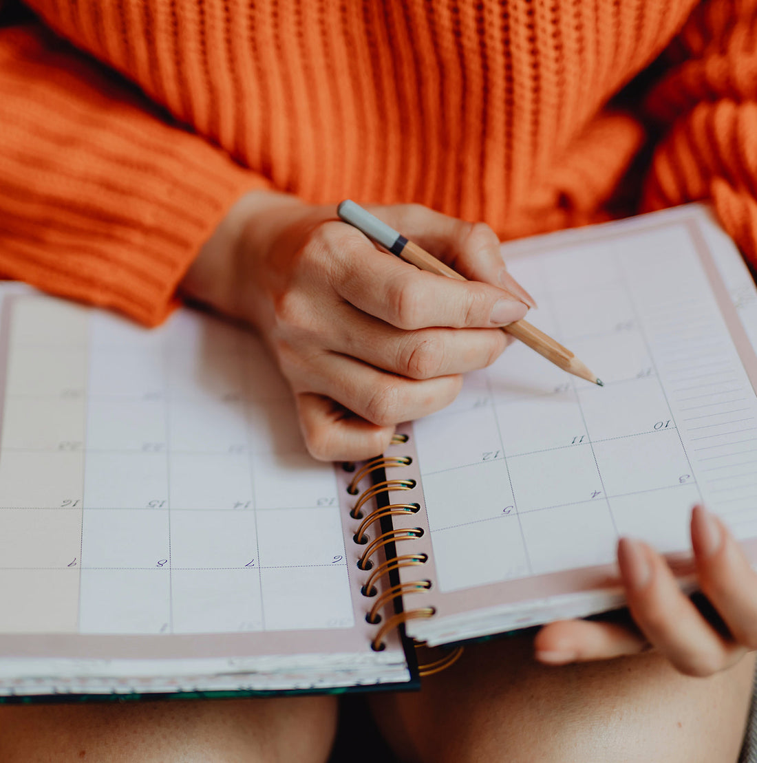 A Colourful Six Months: Juggling Business and Motherhood with Traditional Persian Medicine