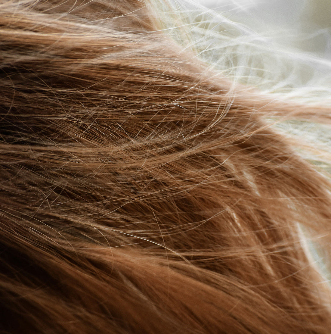 Hair Growth and Traditional Persian Medicine: A Real Journey Back to Balance